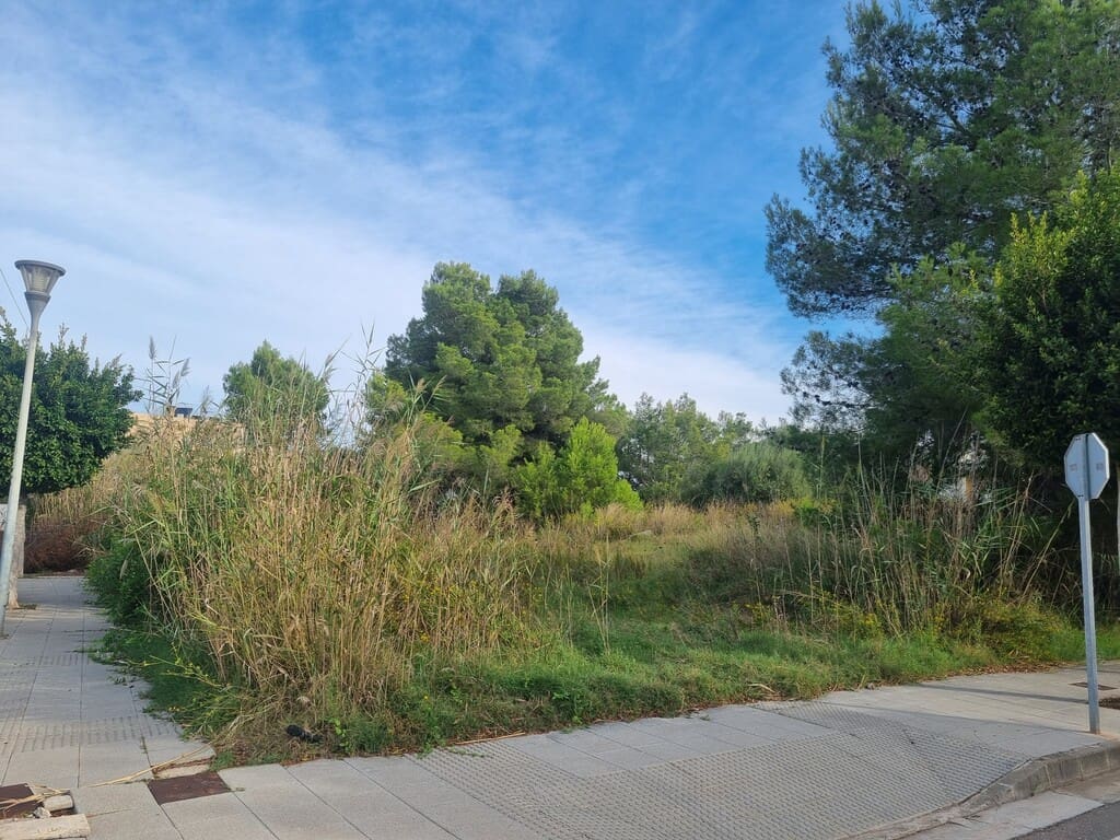 Undeveloped Land for sale in Puerto de Alcudia - € 600,000 (Ref: 9927979)