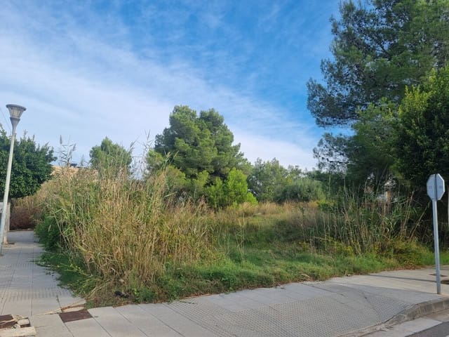 Teren niezagospodarowany na sprzedaż w Puerto de Alcudia, Alcúdia - 600 000 € (Ref: 9927979)