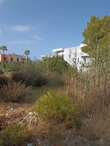 Grunde uden byggetilladelser til salg i Alcúdia - € 535.000 (Ref: 9998401)
