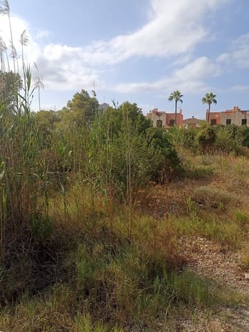 Grunde uden byggetilladelser til salg i Alcúdia - € 535.000 (Ref: 9998401)