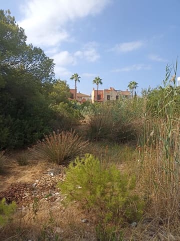 Grunde uden byggetilladelser til salg i Alcúdia - € 535.000 (Ref: 9998401)