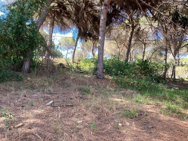 Ubebygd land til salgs i Marbesa, Marbella - € 894 650 (Ref: 6896478)