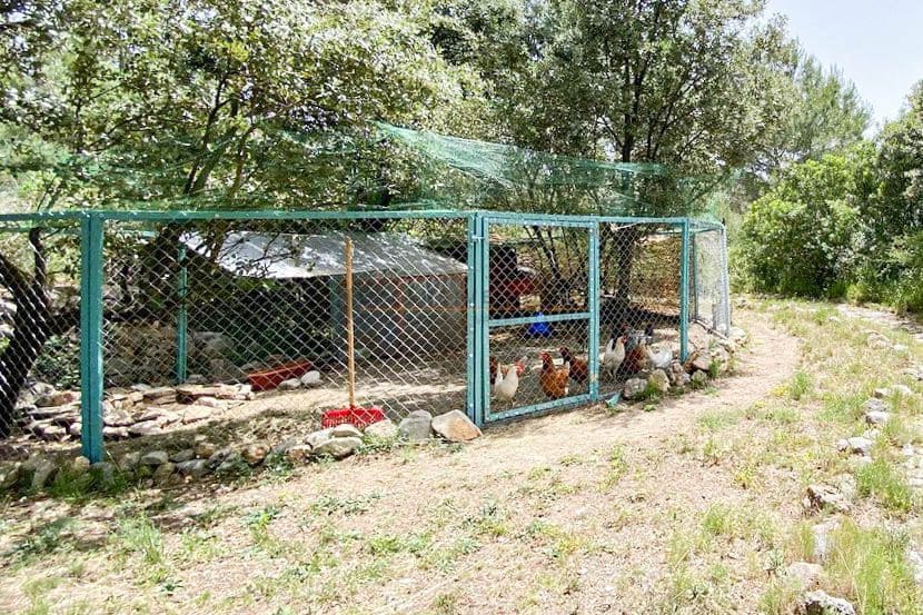 4 chambre Finca/Maison de Campagne à vendre à Castell de Castells avec piscine garage - 425 000 € (Ref: 10017043)