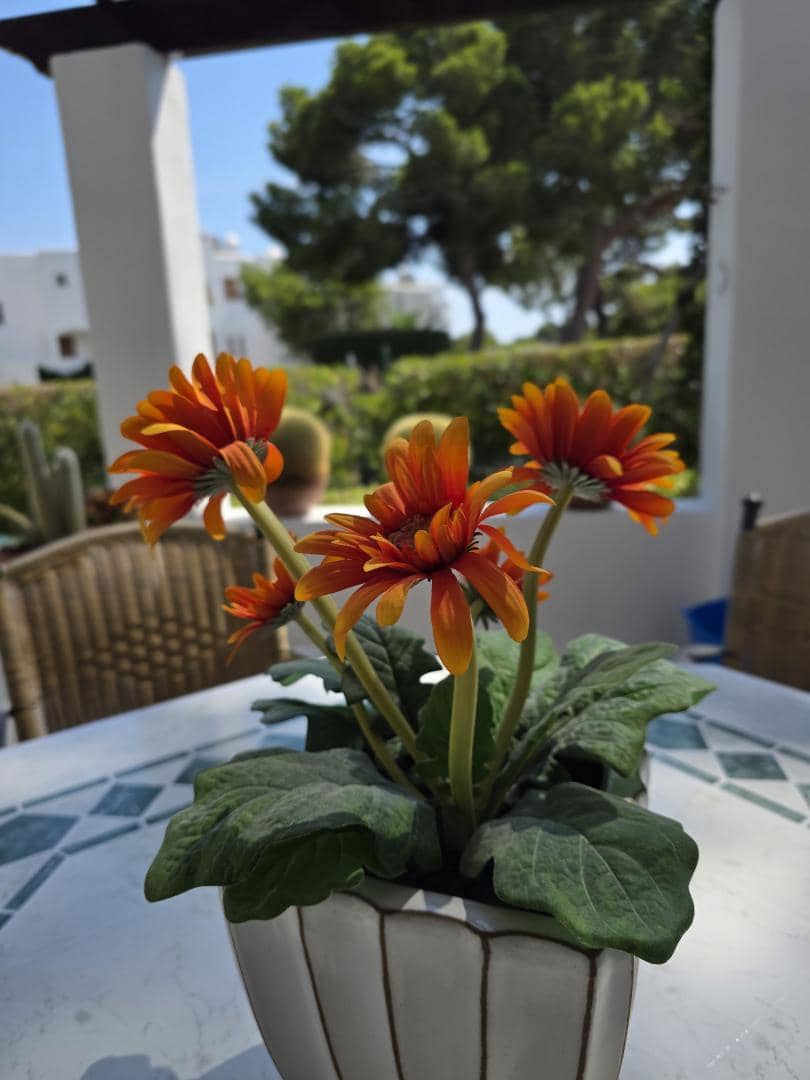 2 sypialnia Apartament na sprzedaż w Cala d'Or z basenem garażem - 369 500 € (Ref: 9176850)