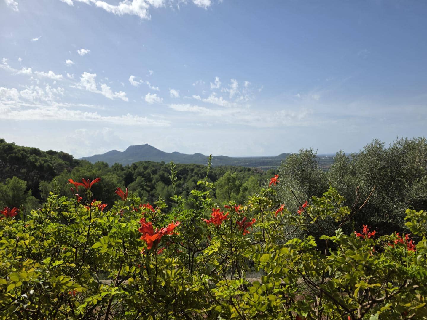 3 slaapkamer Finca/Landhuis te koop in Son Proenc / Son Prohens met garage - € 950.000 (Ref: 9350028)