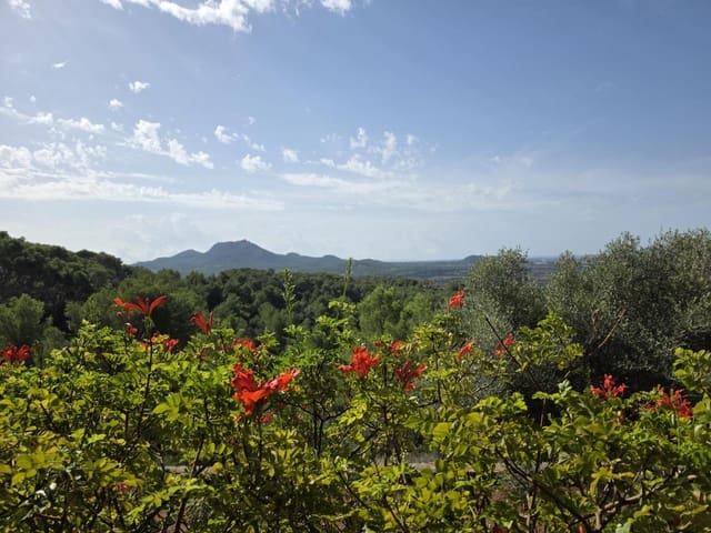 3 slaapkamer Finca/Landhuis te koop in Son Proenç / Son Prohens, Felanitx met garage - € 950.000 (Ref: 9350028)