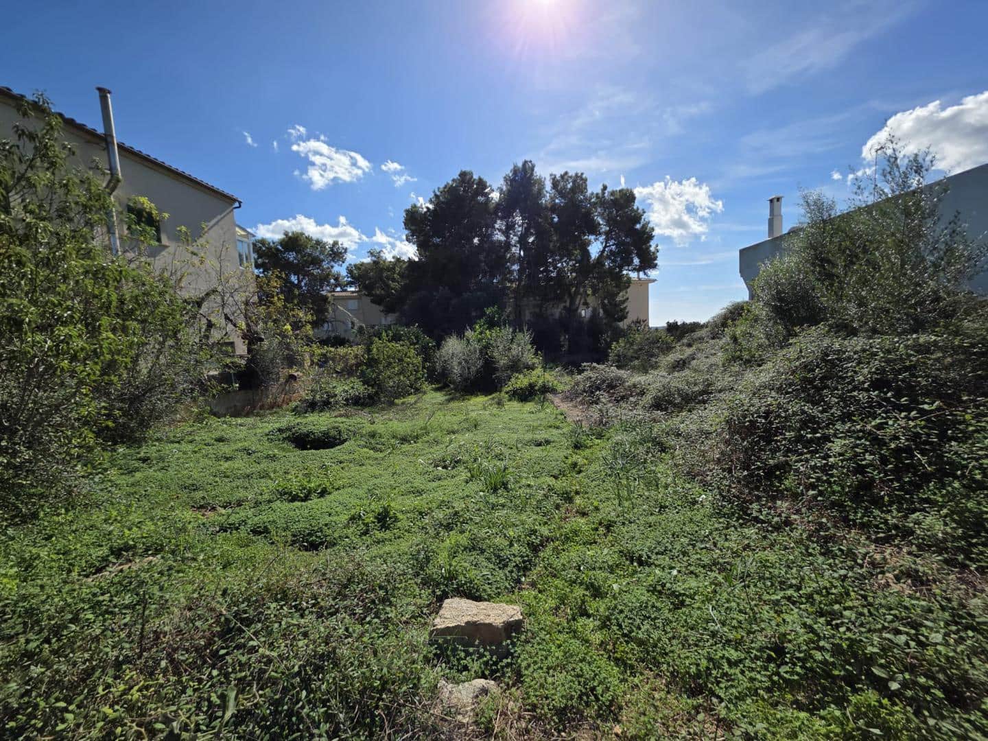 Undeveloped Land for sale in Alqueria Blanca - € 365,000 (Ref: 9426313)