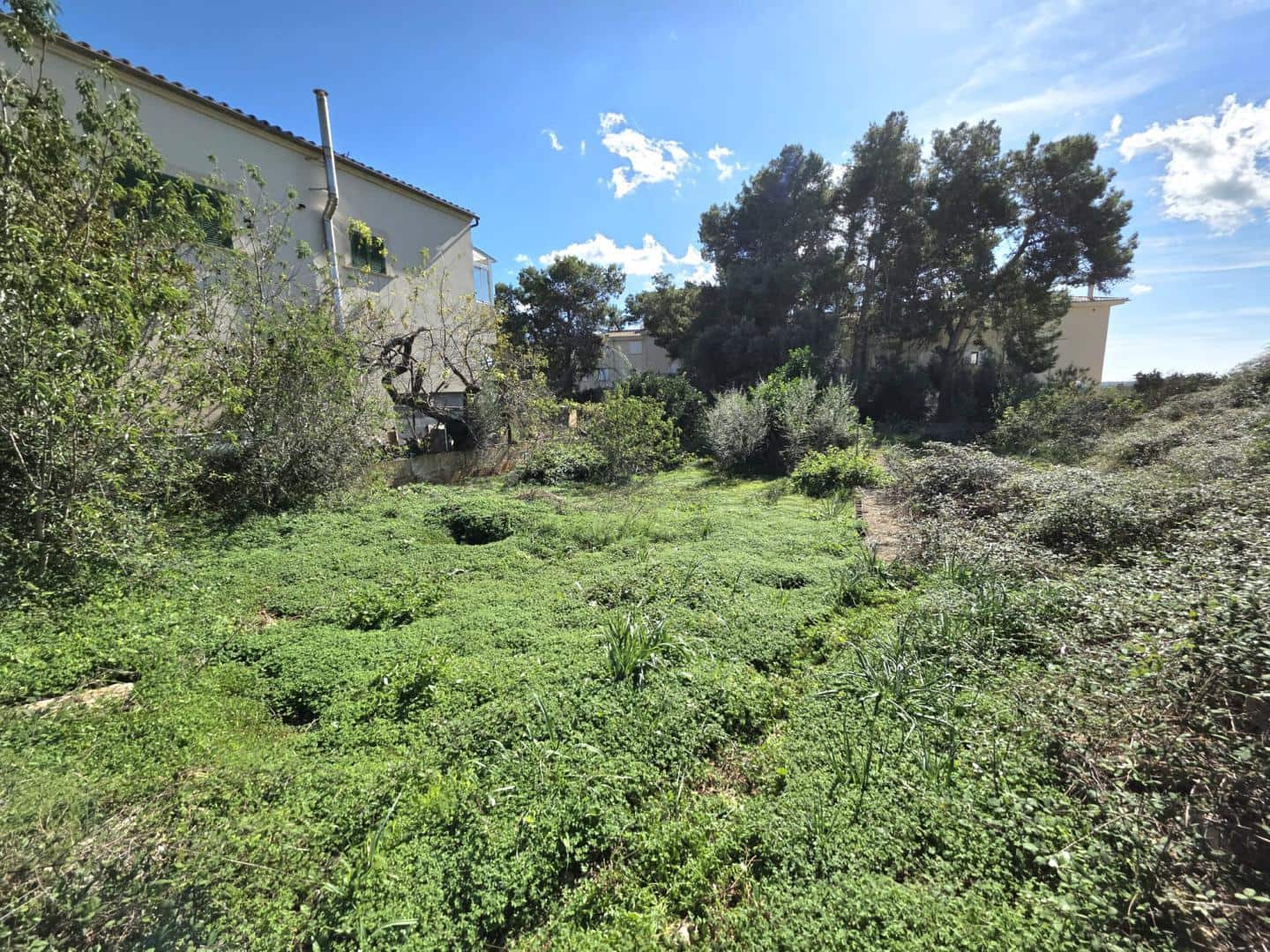 Undeveloped Land for sale in Alqueria Blanca - € 365,000 (Ref: 9426313)