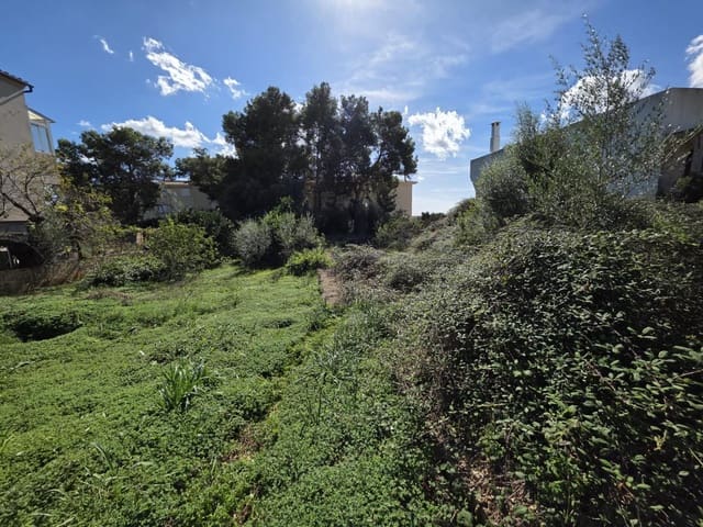 Grond te koop in Alqueria Blanca, Santanyí - € 365.000 (Ref: 9426313)