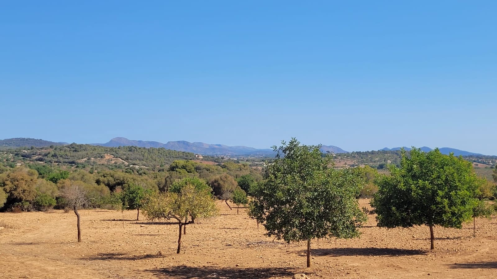 Tomt till salu i Manacor - 390 000 € (Ref: 9532735)