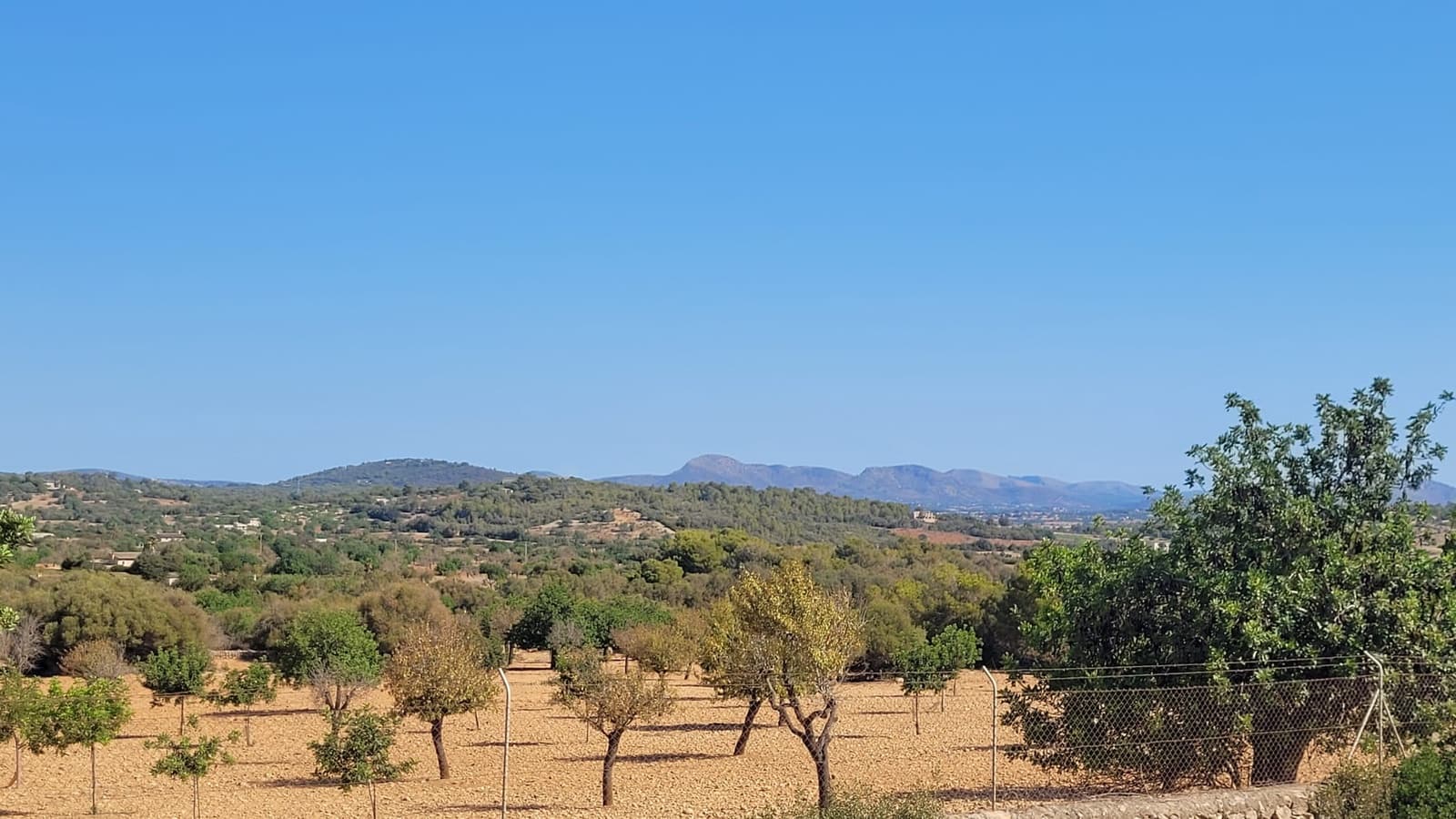 Tomt till salu i Manacor - 390 000 € (Ref: 9532735)