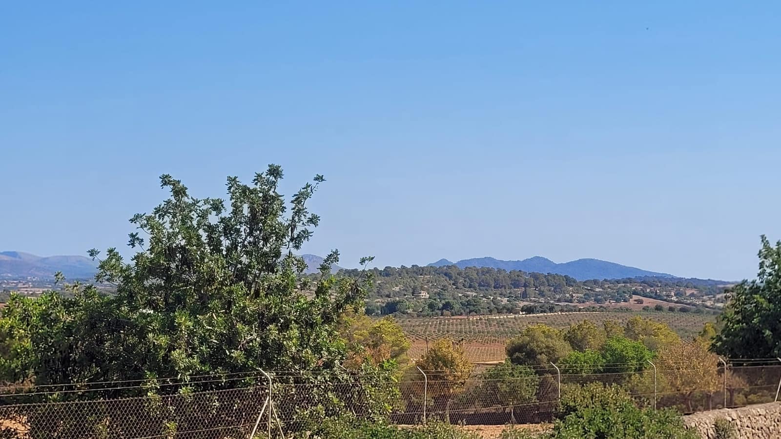 Tomt till salu i Manacor - 390 000 € (Ref: 9532735)