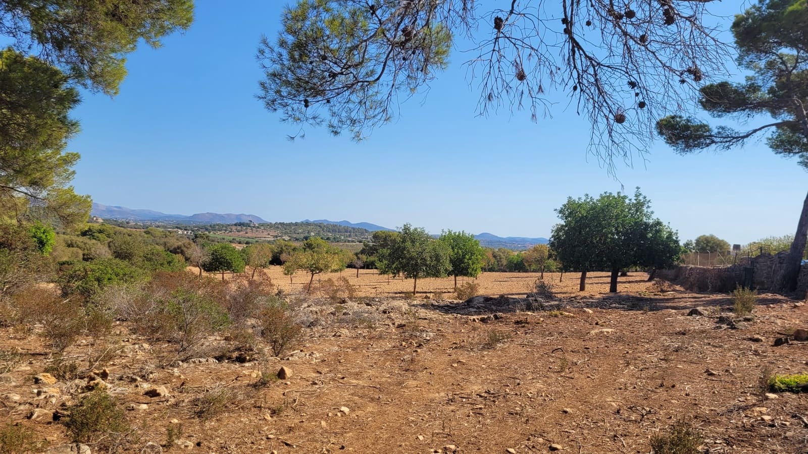 Tomt till salu i Manacor - 390 000 € (Ref: 9532735)