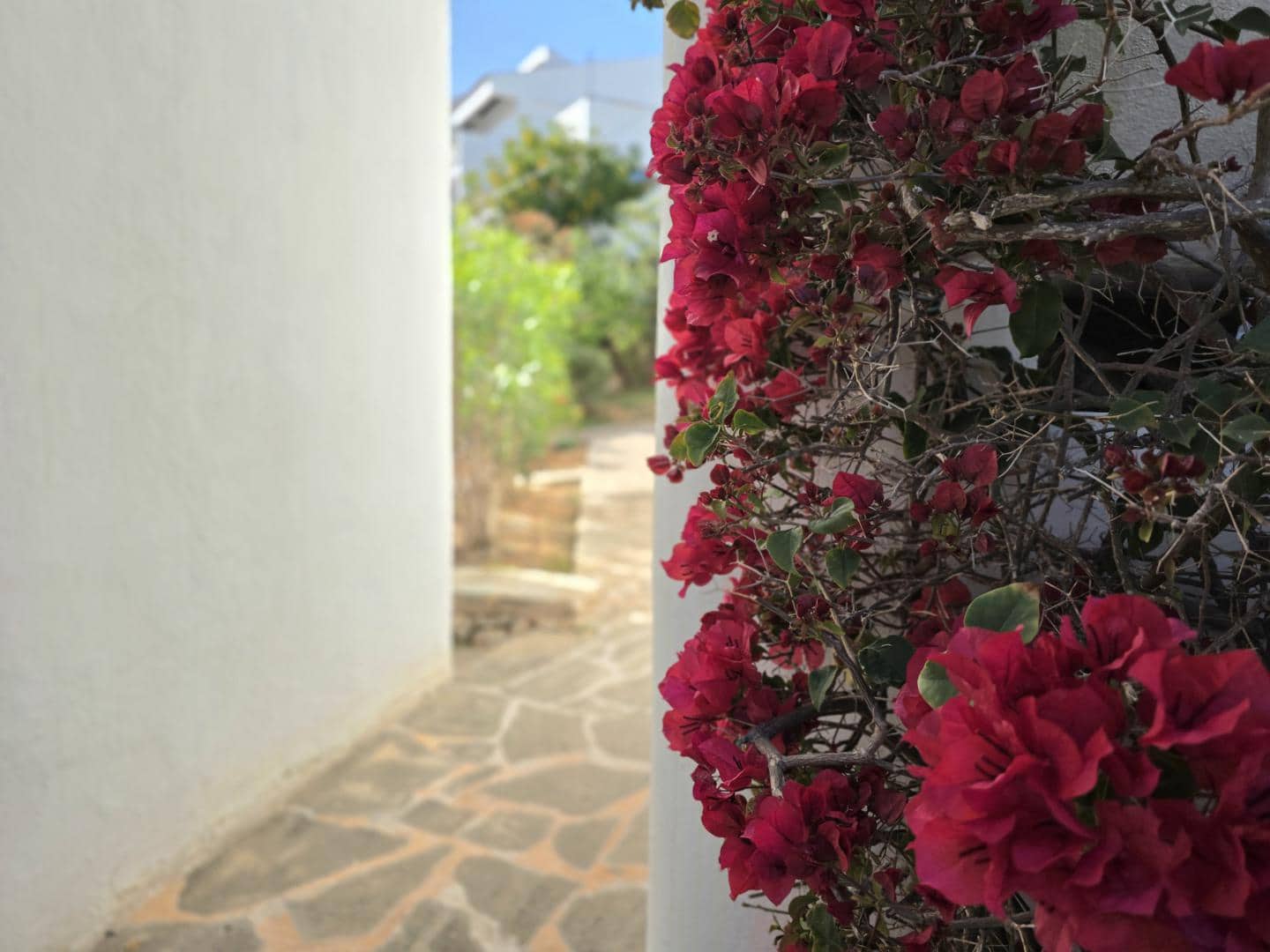 1 soveværelse Strandlejlighed til salg i Cala Ferrera med swimmingpool - € 340.000 (Ref: 9805525)