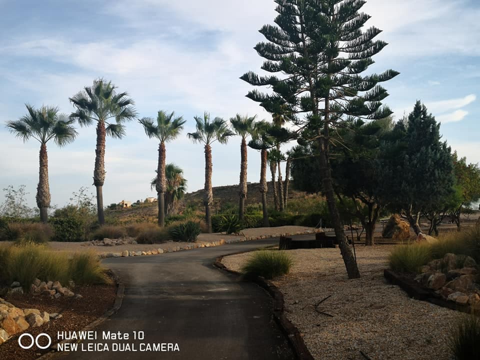 4 bedroom Villa for sale in Banos y Mendigo with pool - € 865,000 (Ref: 7086731)