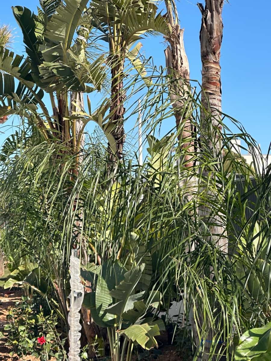 3 bedroom Apartment for sale in Mar de Cristal with pool garage - € 358,000 (Ref: 8103336)