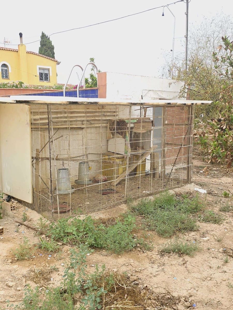 5 quarto Quinta/Casa Rural para venda em Murcia cidade com piscina - 294 900 € (Ref: 8510174)