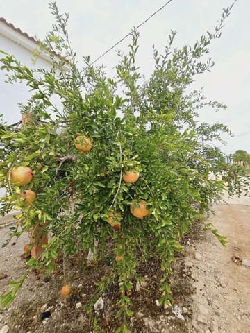 5 Zimmer Finca/Landgut zu verkaufen in Murcia Stadt mit Pool - 294.900 € (Ref: 8510174)