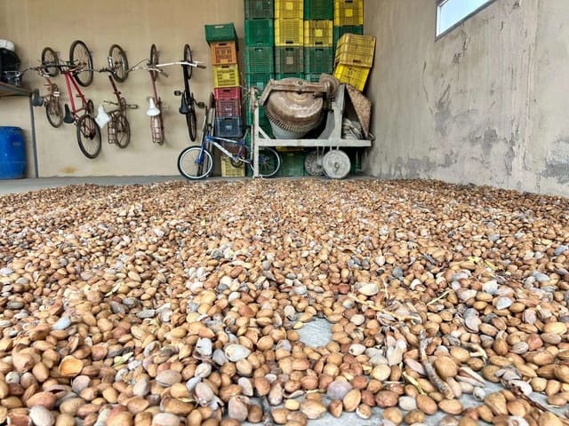 5 Zimmer Finca/Landgut zu verkaufen in Murcia Stadt mit Pool - 294.900 € (Ref: 8510174)