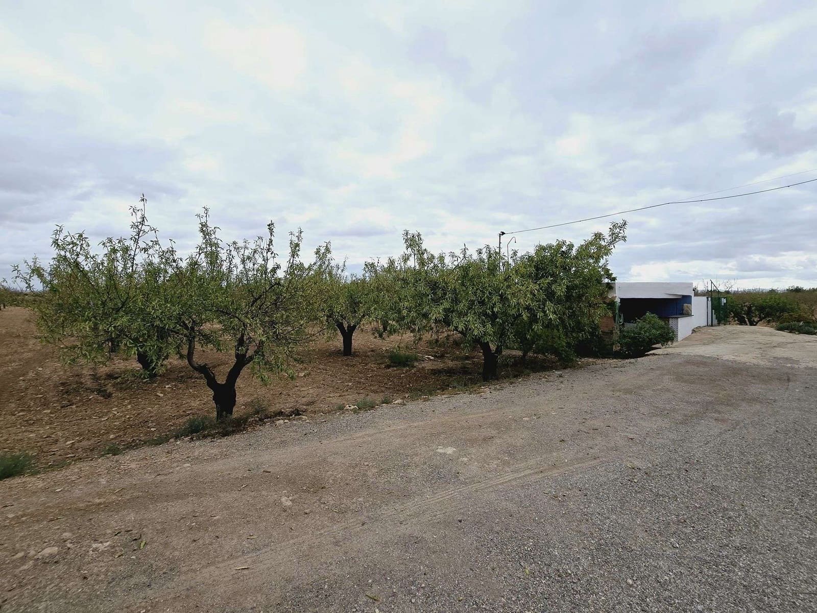 5 quarto Quinta/Casa Rural para venda em Murcia cidade com piscina - 294 900 € (Ref: 8510174)