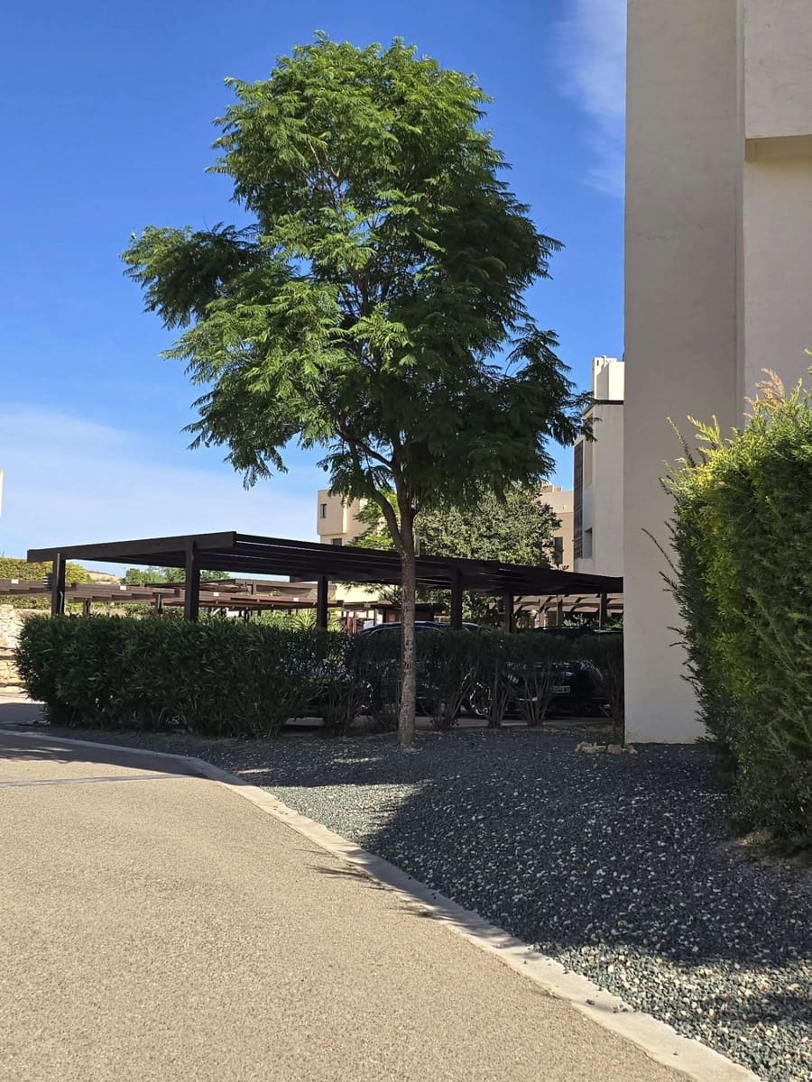 3 sypialnia Apartament na sprzedaż w Corvera - 139 900 € (Ref: 9412604)