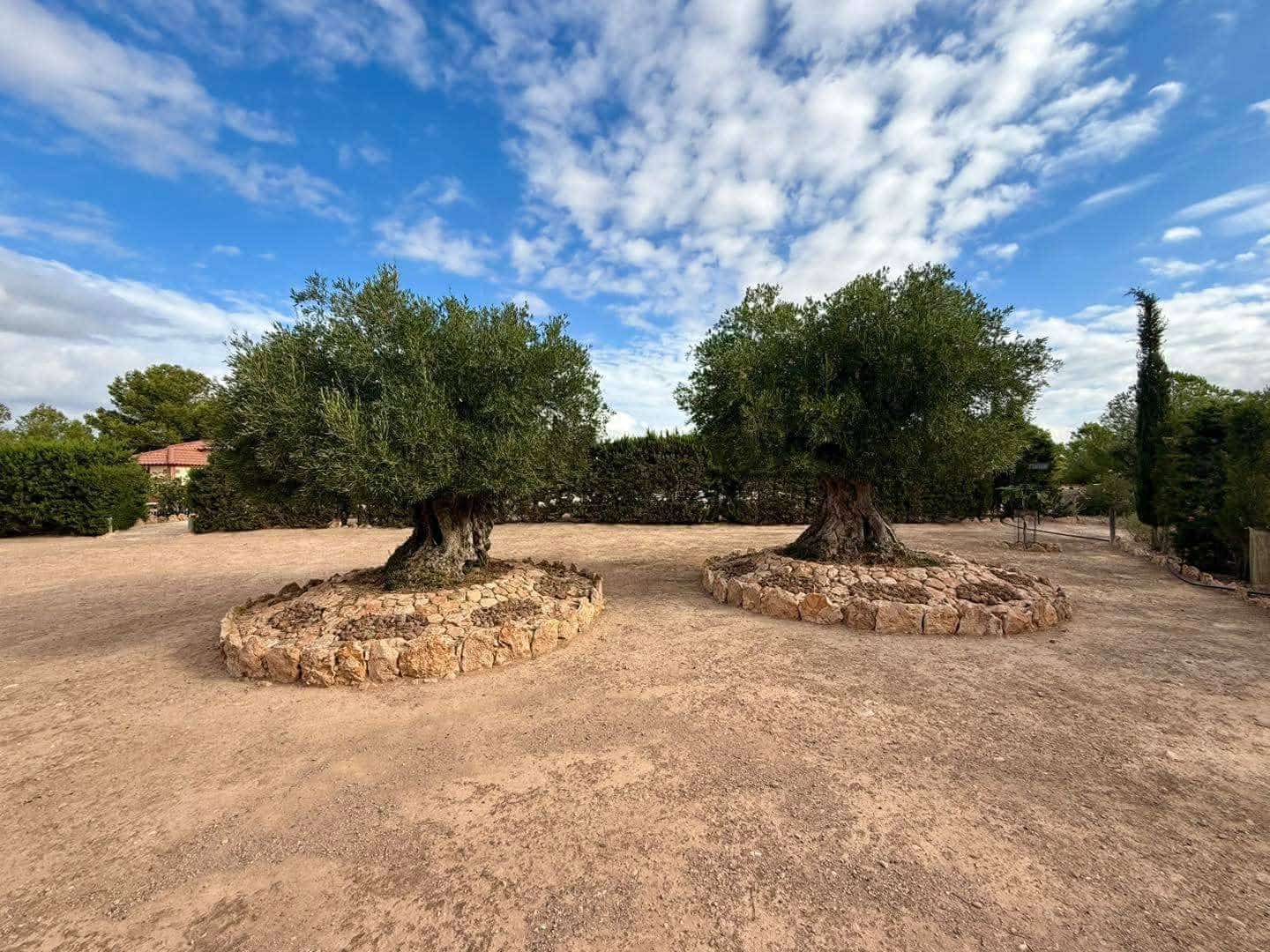 Finca/Landehus til salg i Corvera med swimmingpool - € 265.000 (Ref: 9412605)