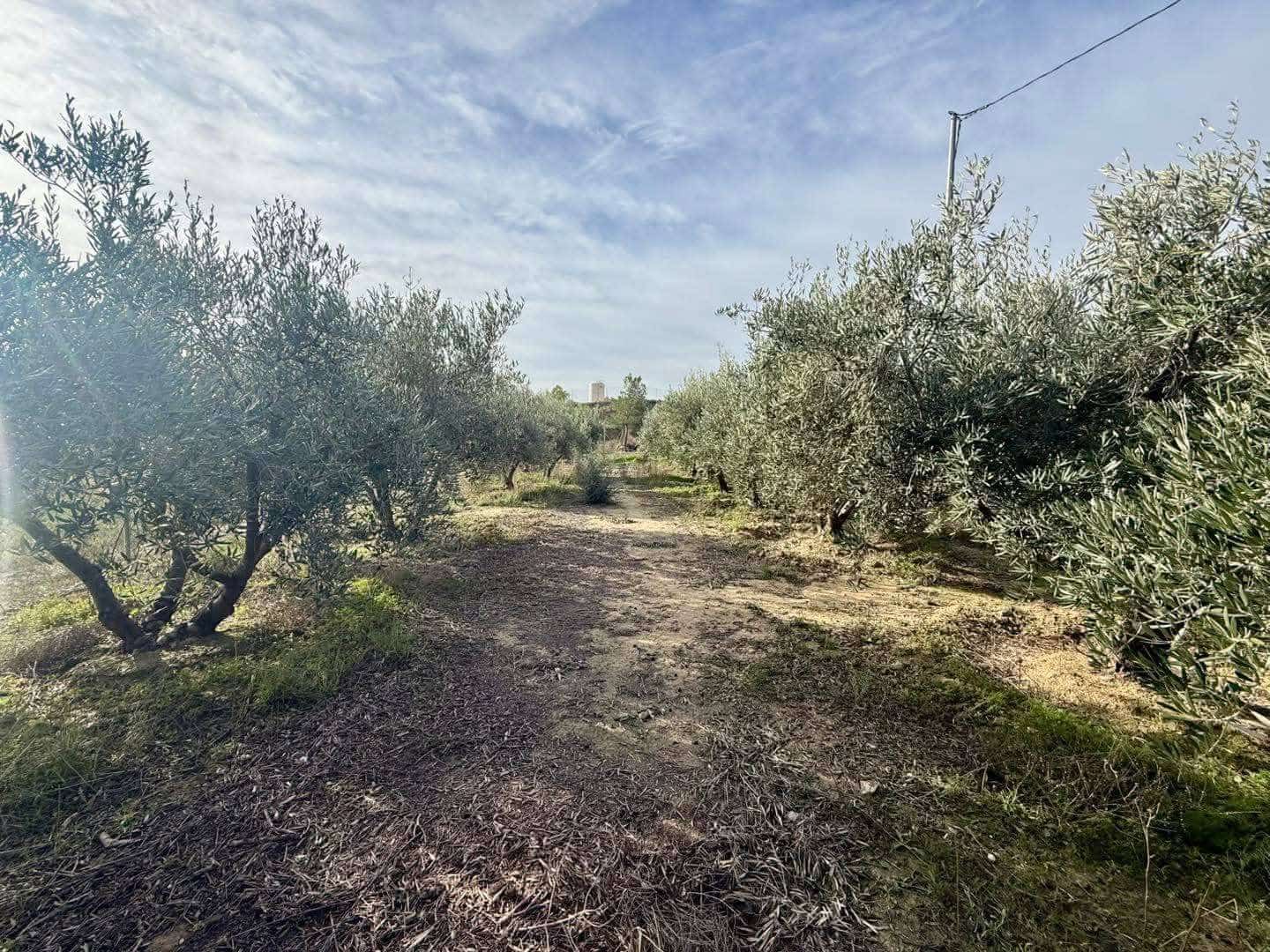 3 bedroom Finca/Country House for sale in Corvera with pool - € 140,000 (Ref: 9490981)