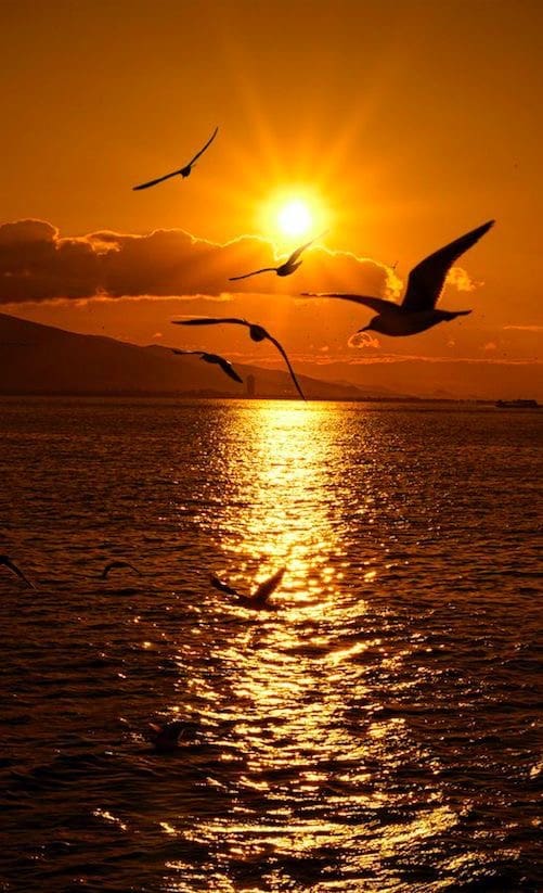 3 bedroom Villa for sale in Finestrat with pool garage - € 835,000 (Ref: 7432611)