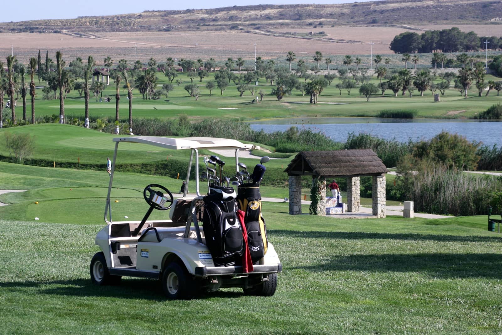 3 Zimmer Villa zu verkaufen in Algorfa mit Pool Garage - 579.000 € (Ref: 7536901)