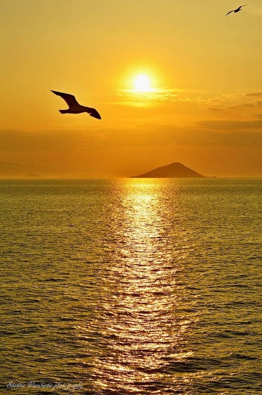 3 bedroom Villa for sale in Orihuela with pool garage - € 359,000 (Ref: 7536912)