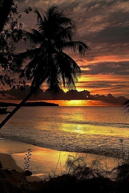 4 bedroom Villa for sale in Calpe / Calp with pool garage - € 1,890,000 (Ref: 7682420)