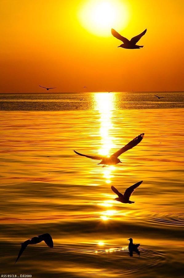 2 soveværelse Lejlighed til salg i Calpe / Calp med garage - € 430.000 (Ref: 8026613)