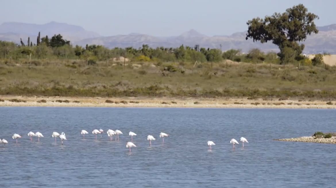 2 camera da letto Appartamento in vendita in Alicante citta con garage - 420.000 € (Rif: 8250825)