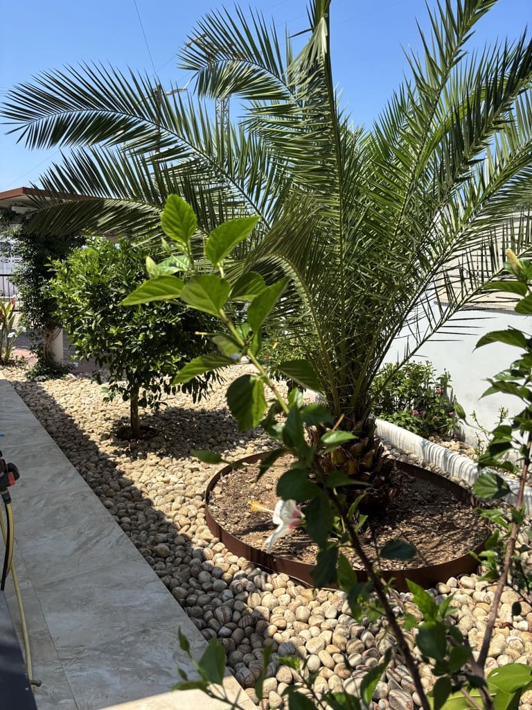 2 bedroom Villa for sale in Els Poblets with pool garage - € 329,000 (Ref: 8399705)