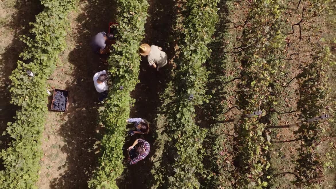 3 chambre Villa/Maison à vendre à Lliber avec piscine garage - 930 000 € (Ref: 8508332)