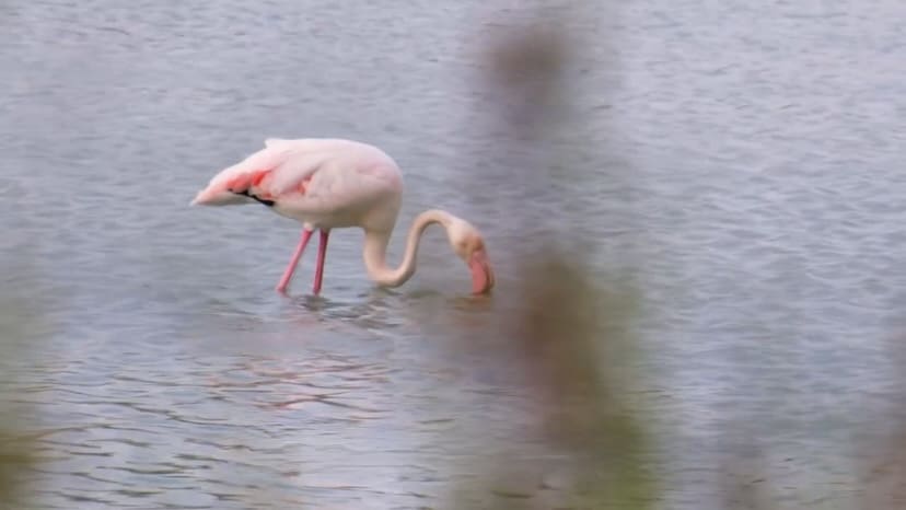 3 bedroom Apartment for sale in Calpe / Calp with garage - € 1,015,000 (Ref: 8659995)