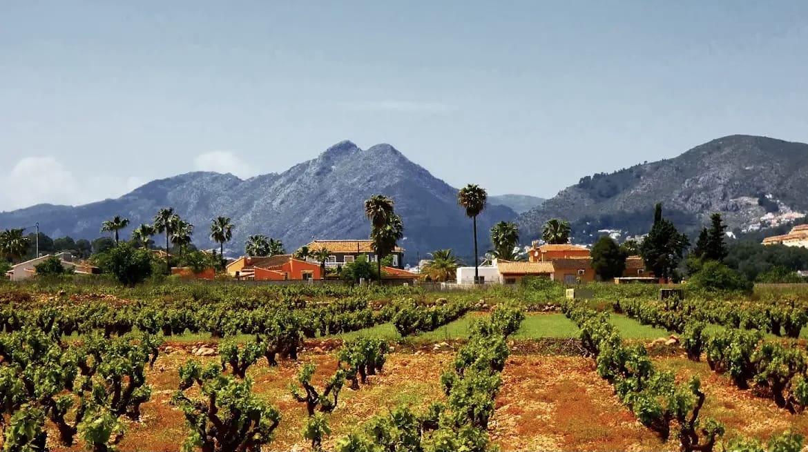 9 soveværelse Guesthouse/B & B til salg i Lliber med garage - € 1.550.000 (Ref: 8688948)