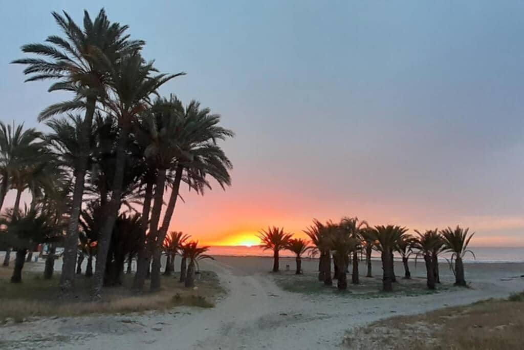 2 soverom Leilighet til salgs i Santa Pola med garasje - € 275 000 (Ref: 8793766)