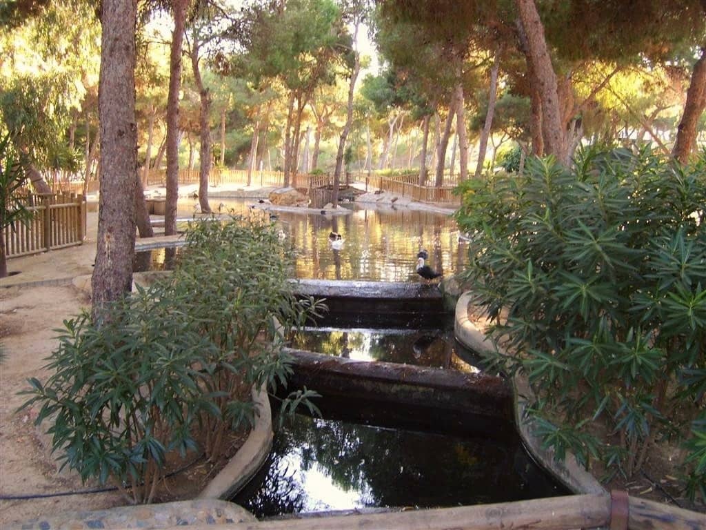 2 bedroom Apartment for sale in Guardamar del Segura with pool garage - € 323,500 (Ref: 8887278)