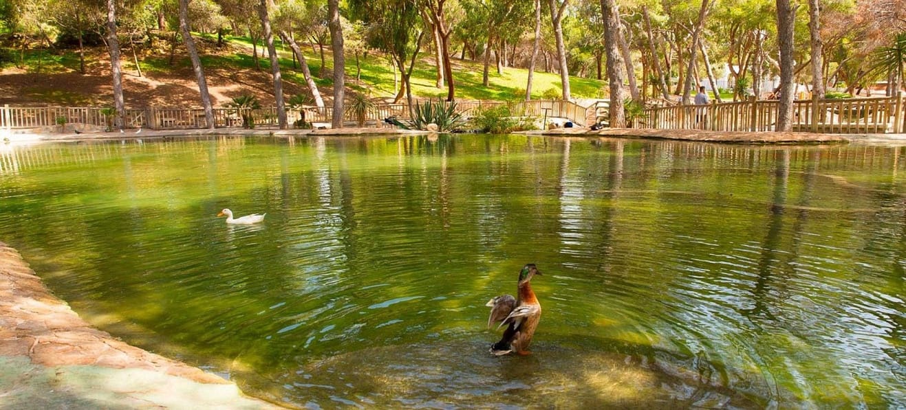 2 bedroom Apartment for sale in Guardamar del Segura with pool garage - € 323,500 (Ref: 8887278)