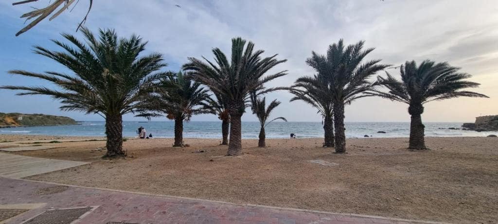 2 bedroom Apartment for sale in Santa Pola with garage - € 250,000 (Ref: 8889075)