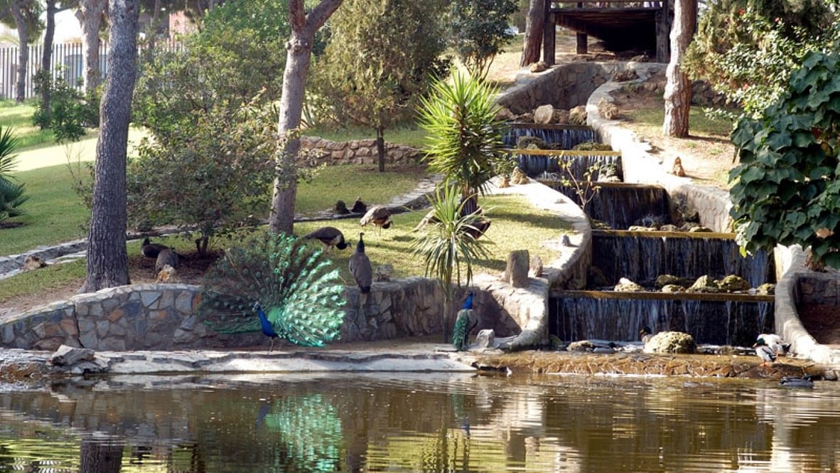 2 camera da letto Appartamento in vendita in Guardamar del Segura con piscina garage - 307.000 € (Rif: 8910759)