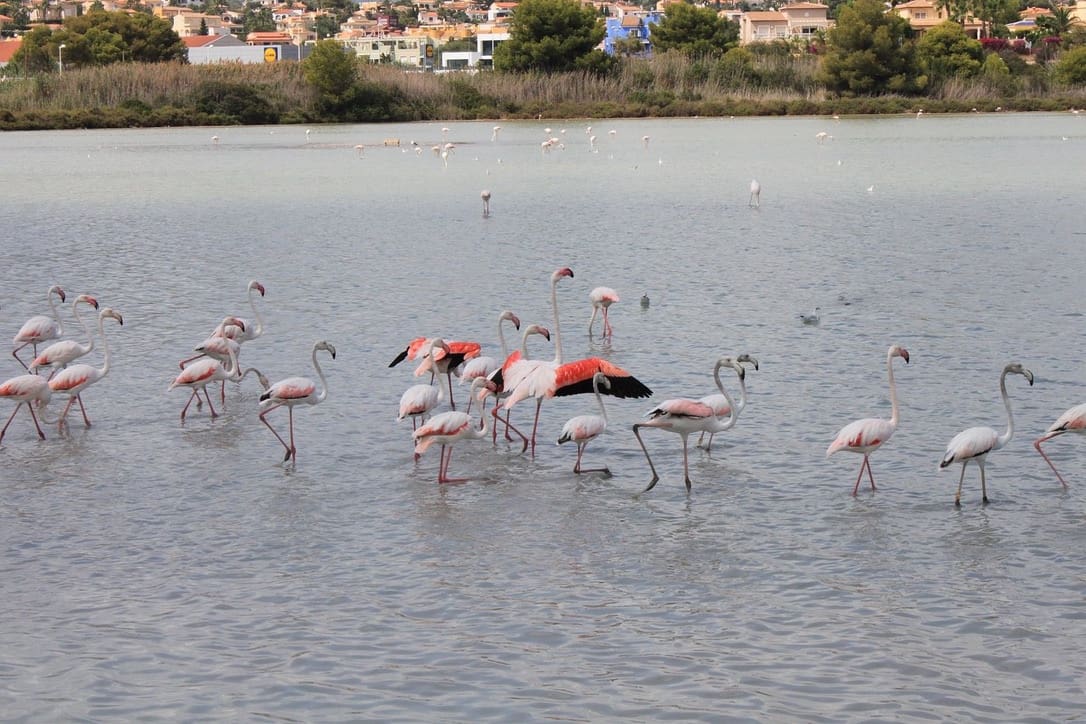 3 camera da letto Appartamento in vendita in Calpe / Calp con garage - 1.095.000 € (Rif: 8930163)