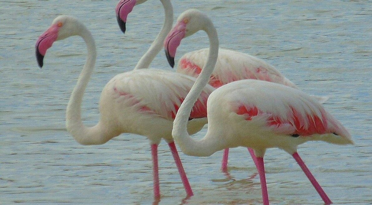 3 camera da letto Appartamento in vendita in Calpe / Calp - 740.000 € (Rif: 8931773)