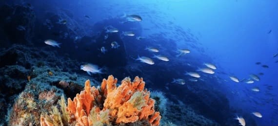 5 soverom Hus til salgs i Bellreguard med garasje - € 159 000 (Ref: 9041864)