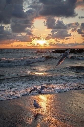 2 slaapkamer Appartement te koop in Alicante stad met garage - € 399.000 (Ref: 9200201)