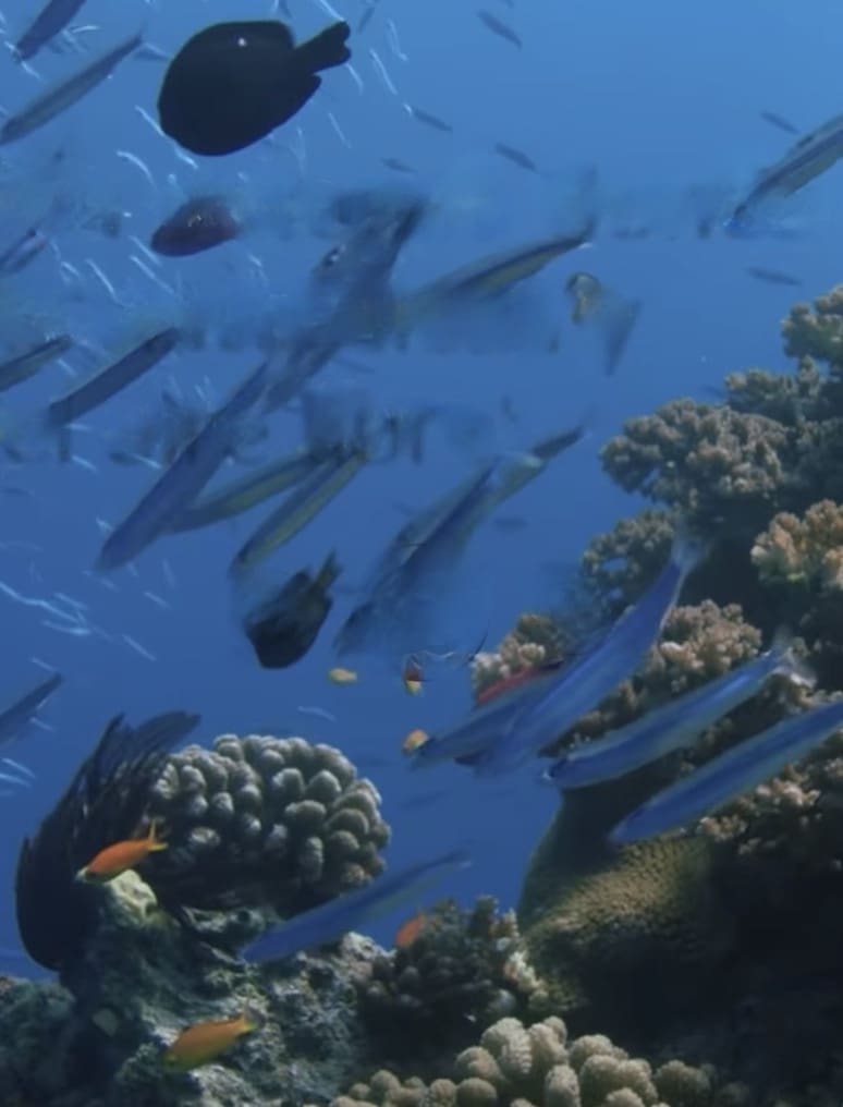 3 slaapkamer Villa te koop in Alicante stad met garage - € 560.000 (Ref: 9211579)