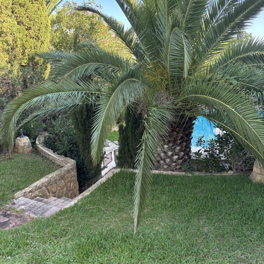 5 camera da letto Villa in vendita in Denia con piscina garage - 895.000 € (Rif: 9299051)