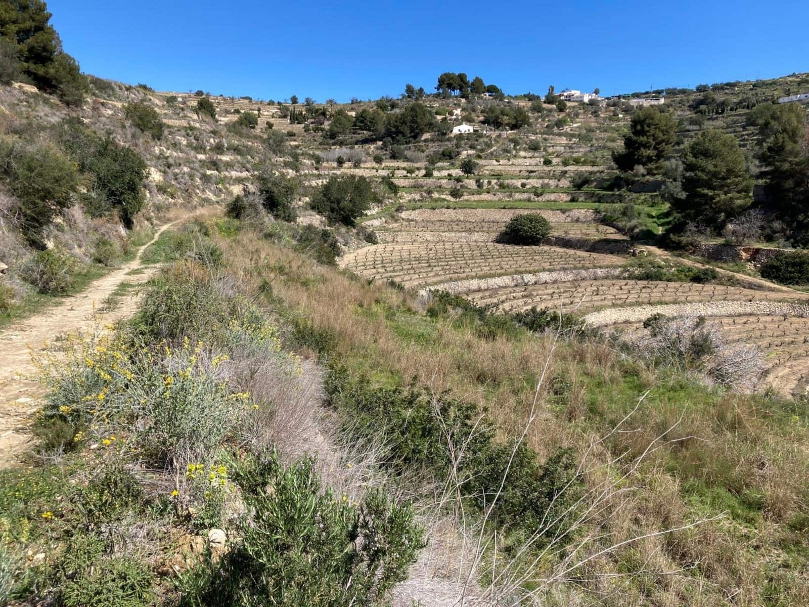 Undeveloped Land for sale in Benissa - € 999,000 (Ref: 9972514)