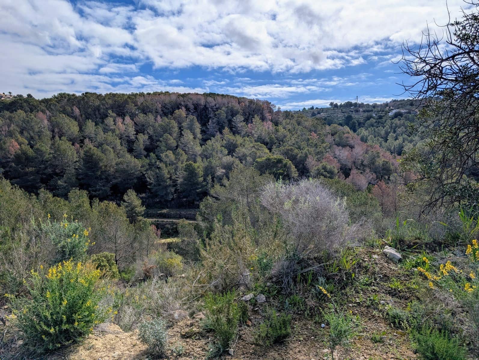 Undeveloped Land for sale in Benissa - € 999,000 (Ref: 9972514)